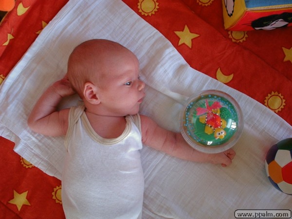 Focus on the toy